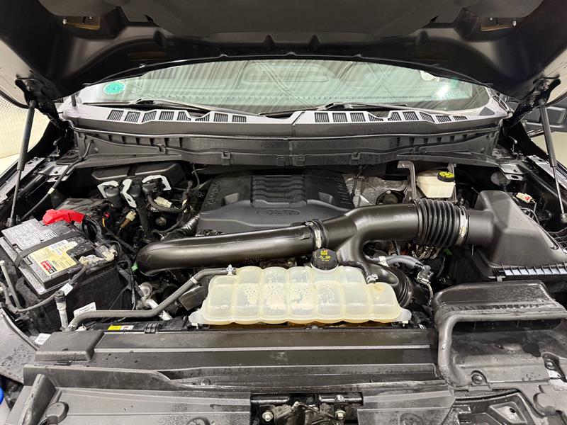 ford F-150 2022 - 31