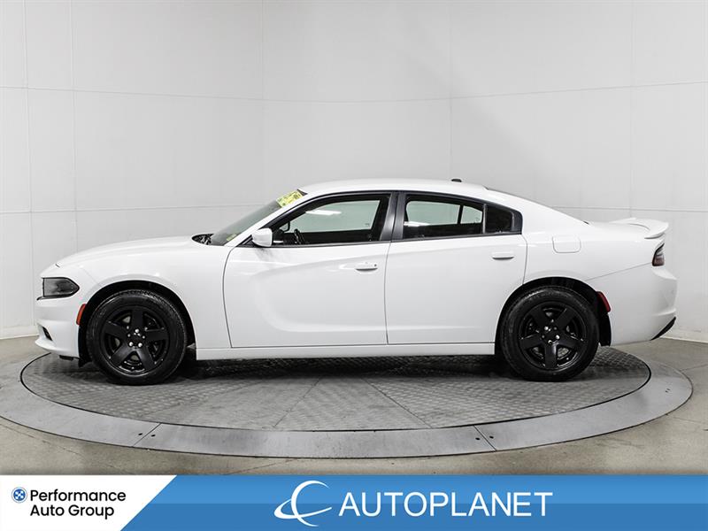 dodge Charger 2020 - 5