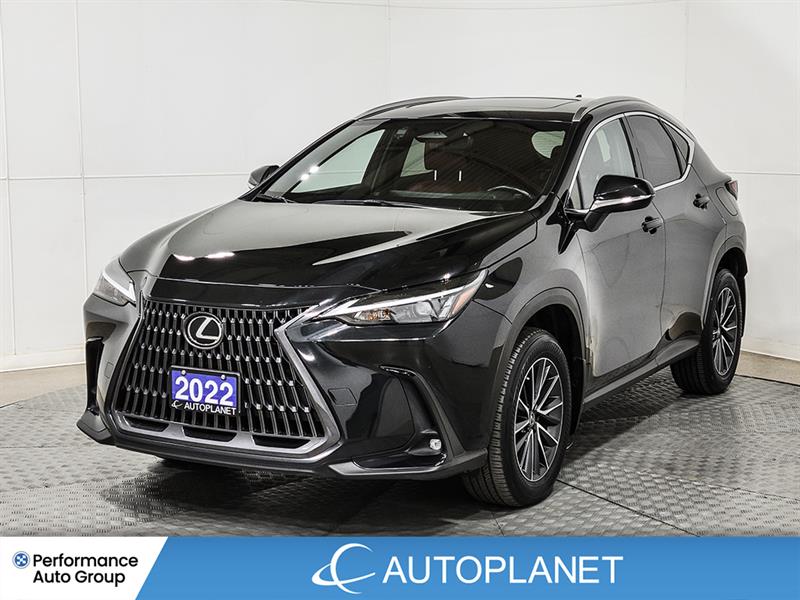 lexus NX 450h+ 2022