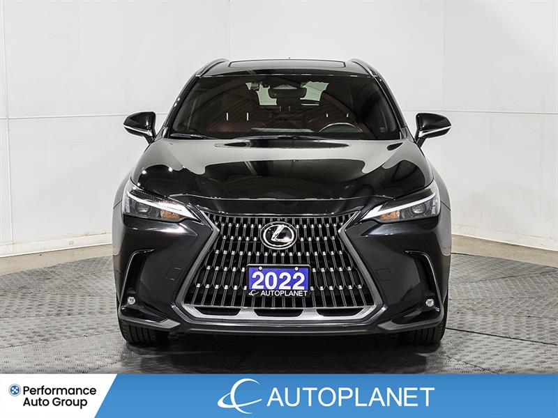 lexus NX 450h+ 2022 - 2