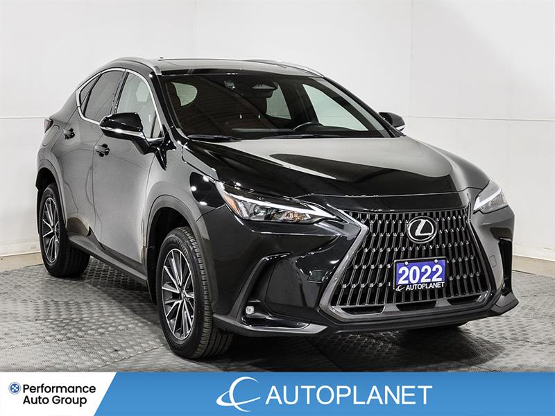 lexus NX 450h+ 2022 - 3
