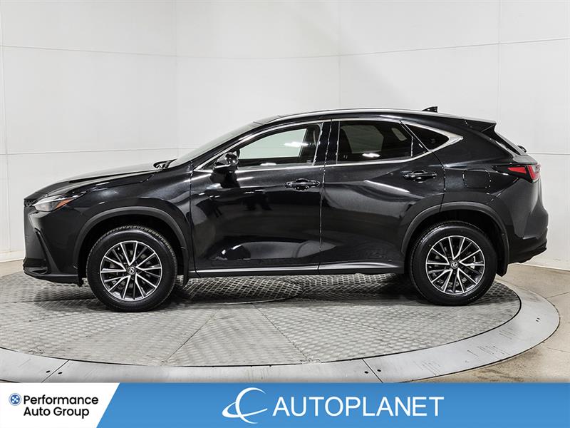 lexus NX 450h+ 2022 - 4