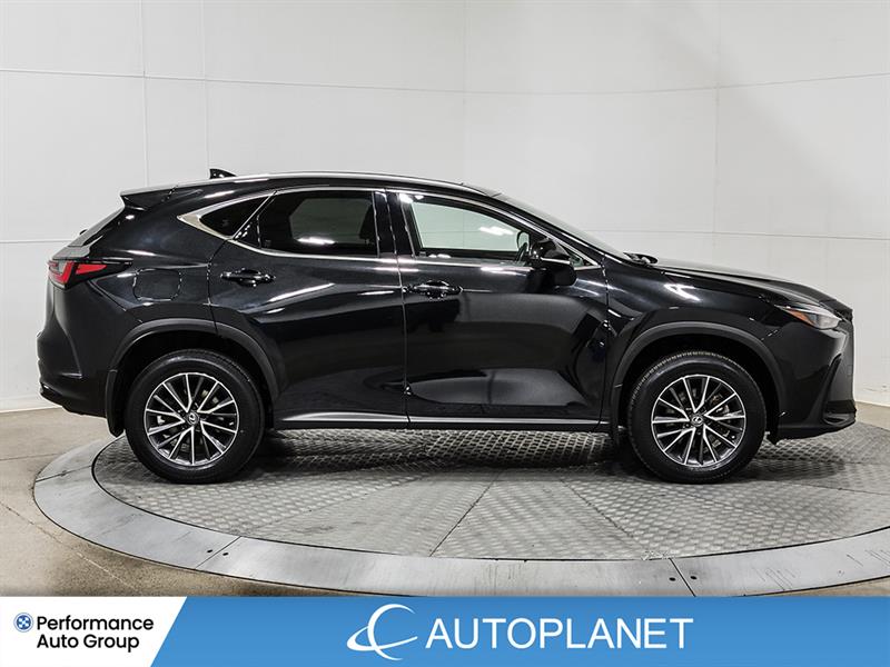 lexus NX 450h+ 2022 - 9