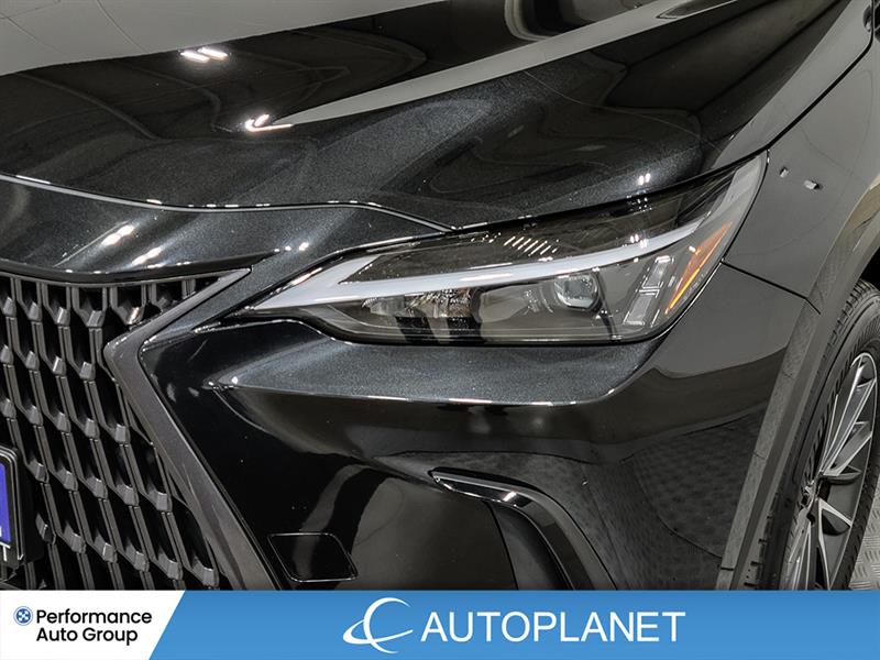 lexus NX 450h+ 2022 - 10