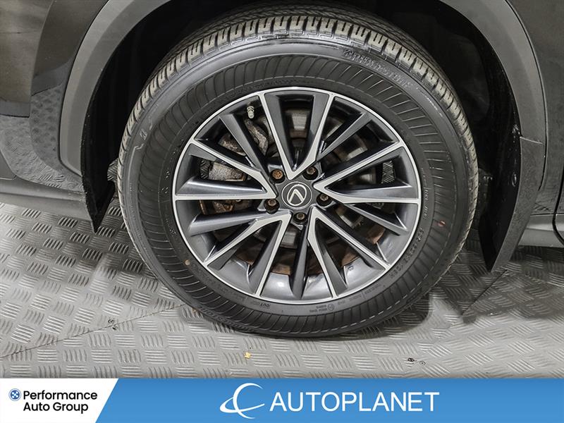 lexus NX 450h+ 2022 - 12