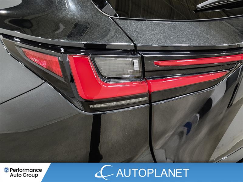 lexus NX 450h+ 2022 - 13