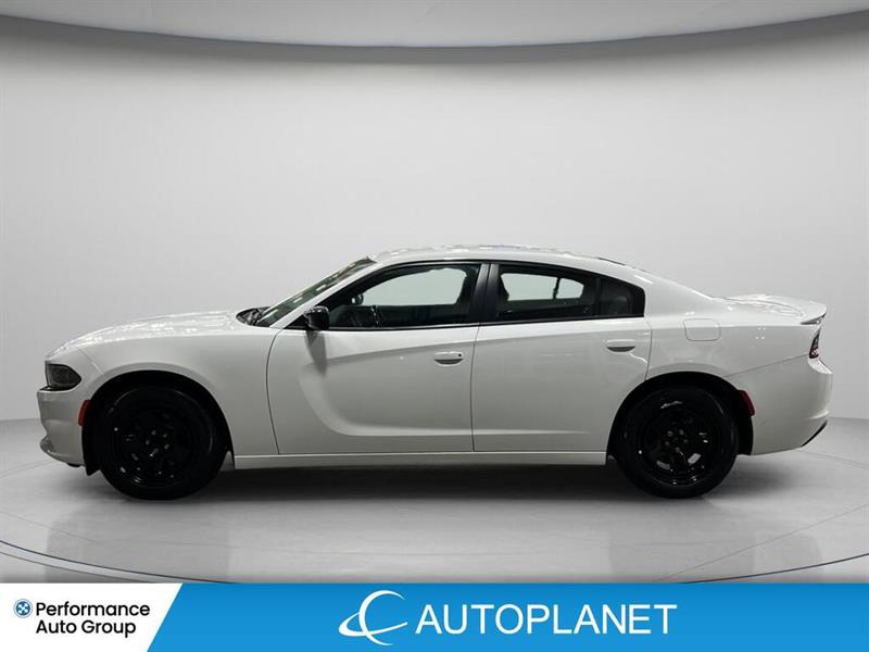 dodge Charger 2020 - 8