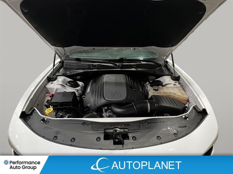 dodge Charger 2020 - 24