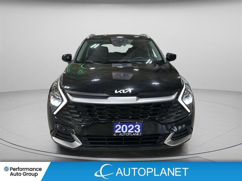 kia Sportage 2023 - 2