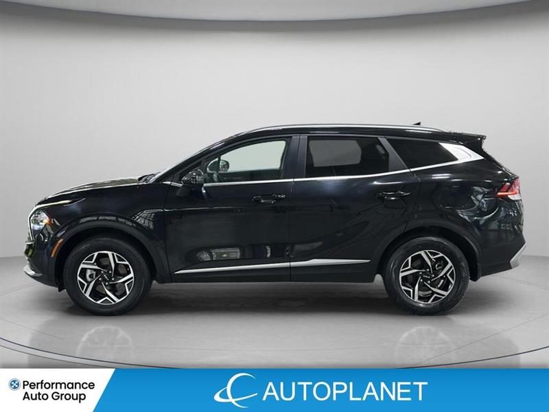 kia Sportage 2023 - 8