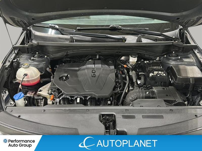 kia Sportage 2023 - 23