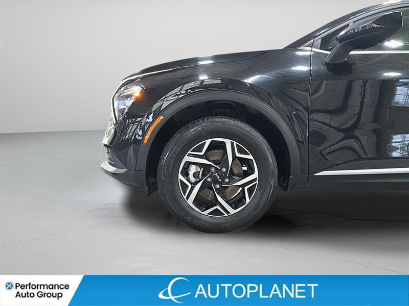 kia Sportage 2023 - 25