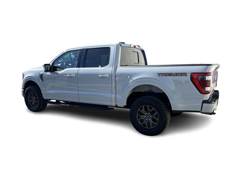 ford F-150 2023 - 9