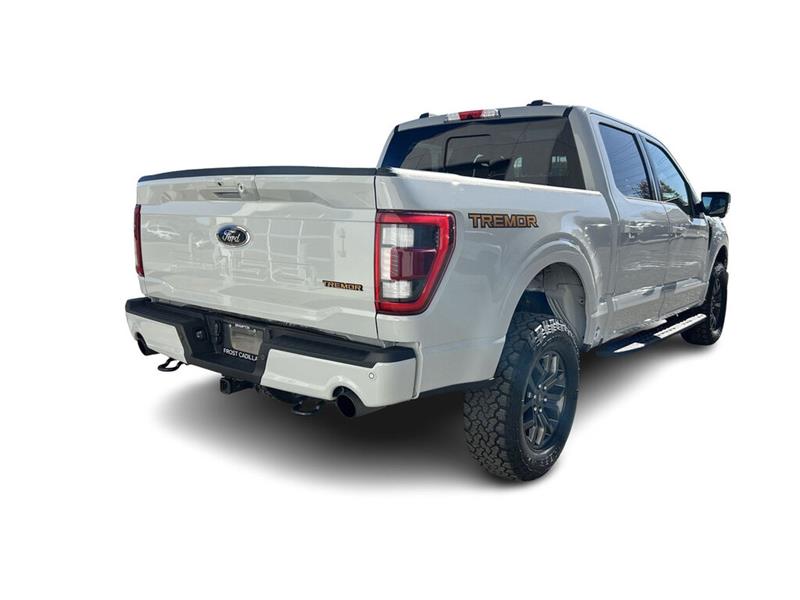 ford F-150 2023 - 14