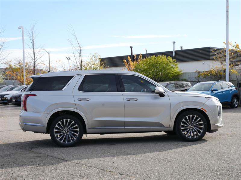 hyundai Palisade 2024 - 6