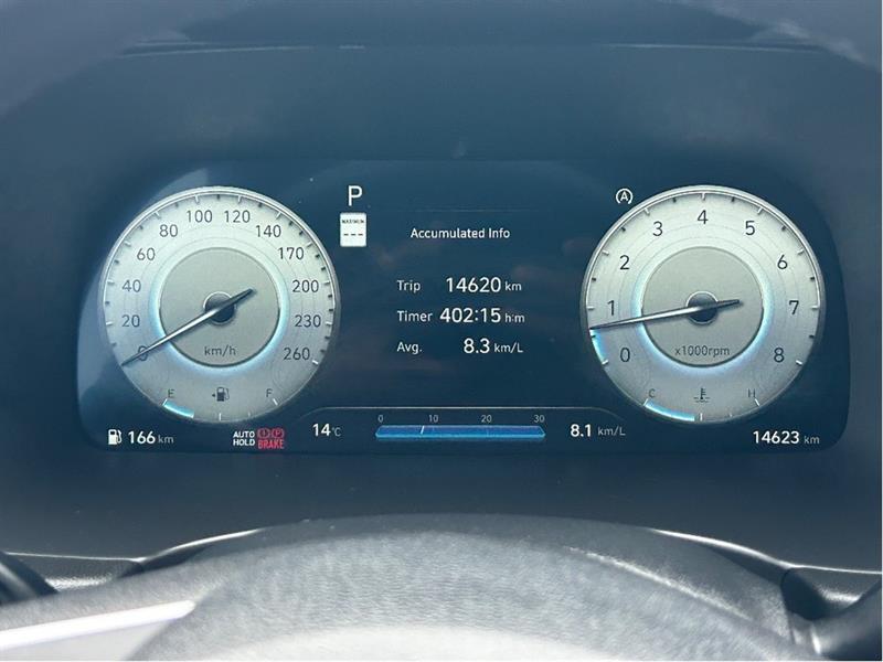 hyundai Palisade 2025 - 14