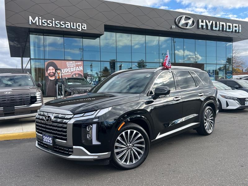 hyundai Palisade 2025 - 10