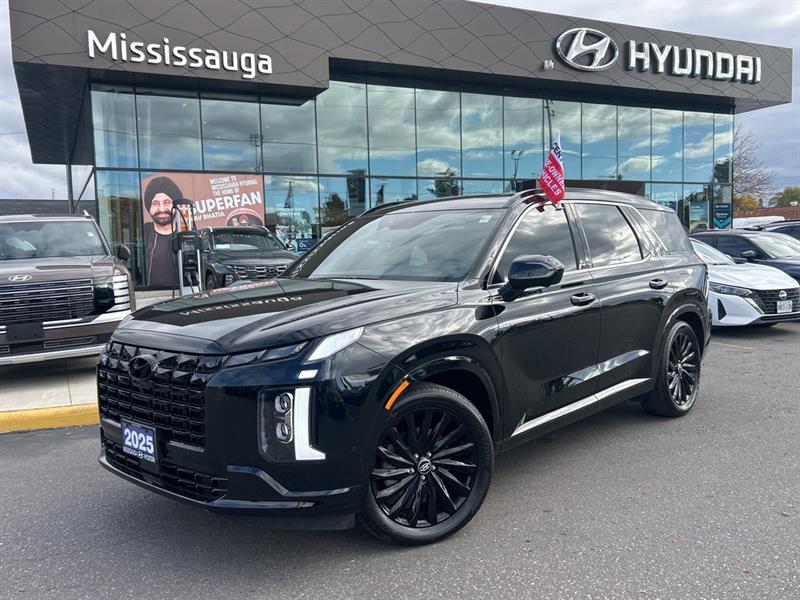 hyundai Palisade 2025 - 10