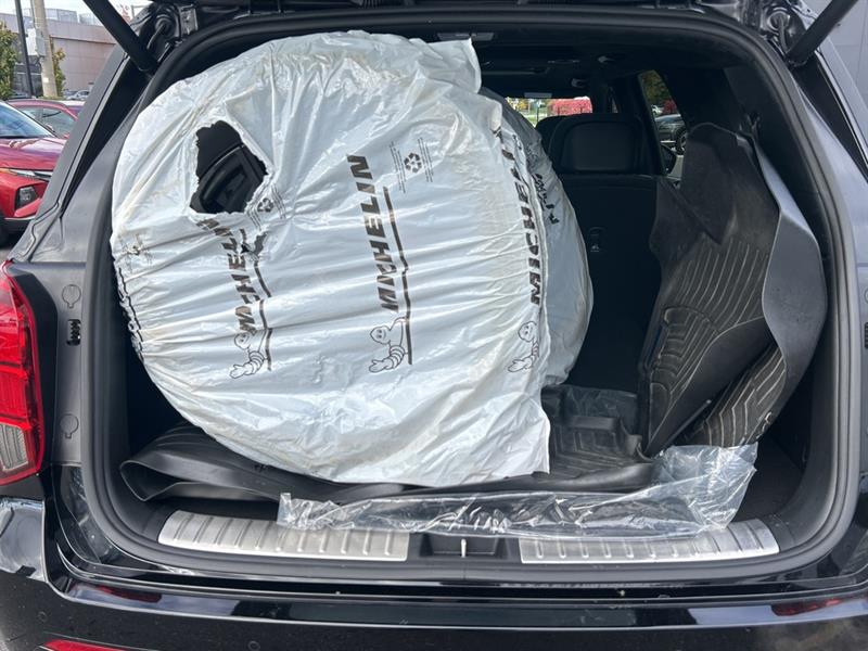 hyundai Palisade 2025 - 20