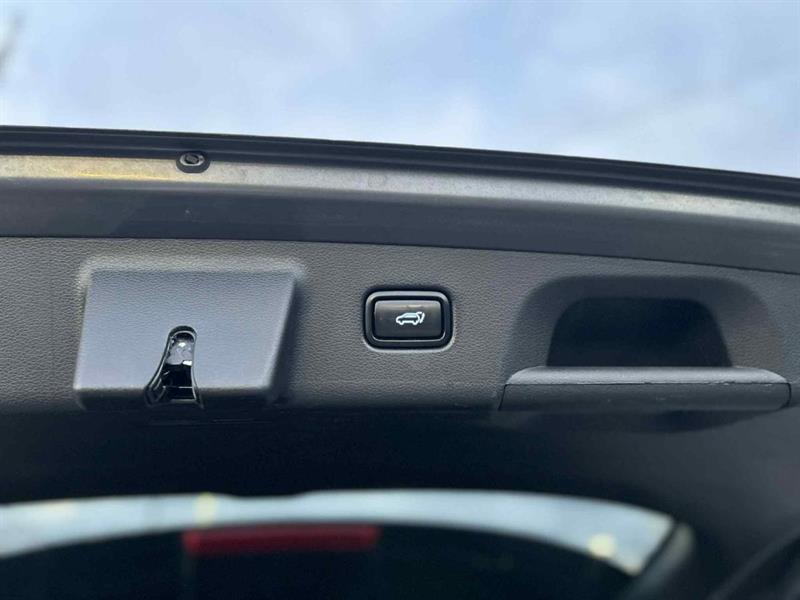 hyundai Palisade 2021 - 24