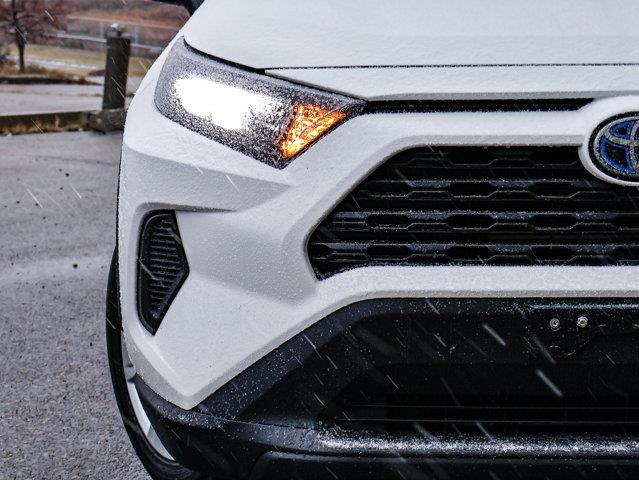 toyota RAV4 2019 - 5