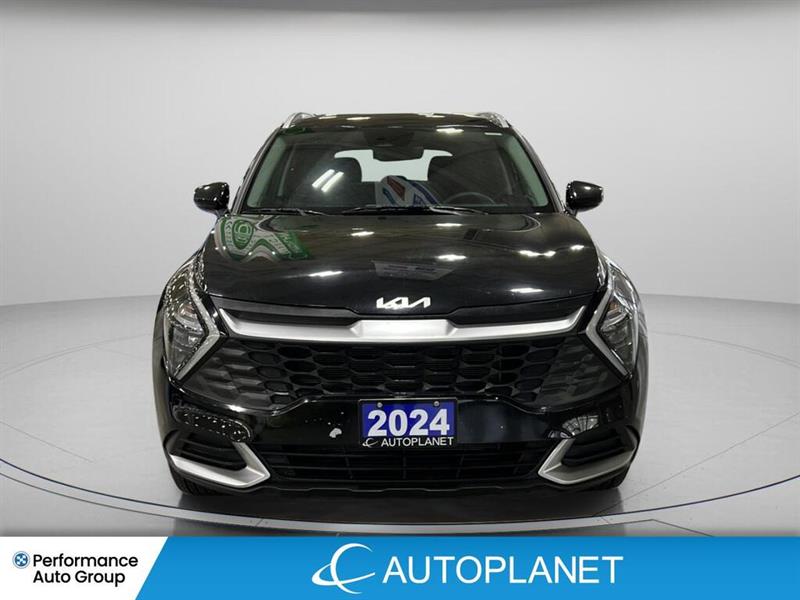 kia Sportage 2024 - 2