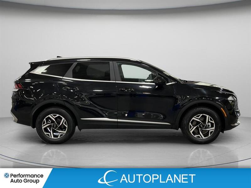 kia Sportage 2024 - 4