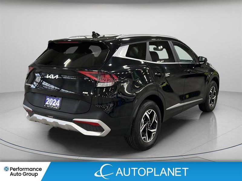 kia Sportage 2024 - 5