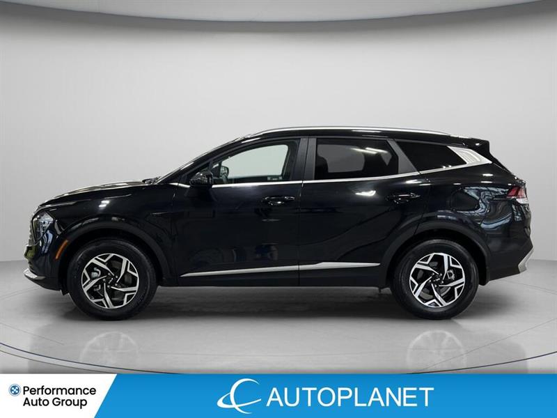 kia Sportage 2024 - 8