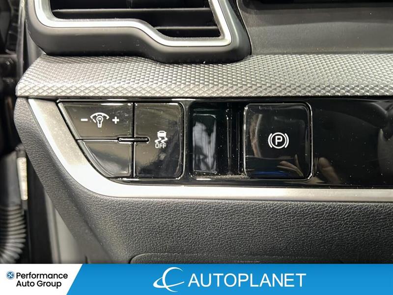 kia Sportage 2024 - 13