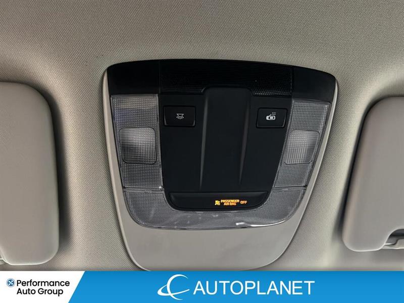 kia Sportage 2024 - 22