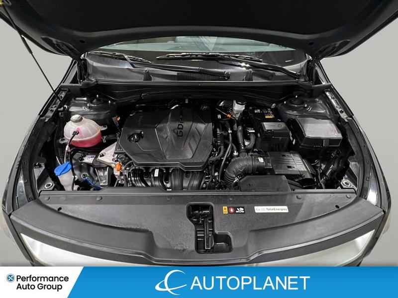 kia Sportage 2024 - 24