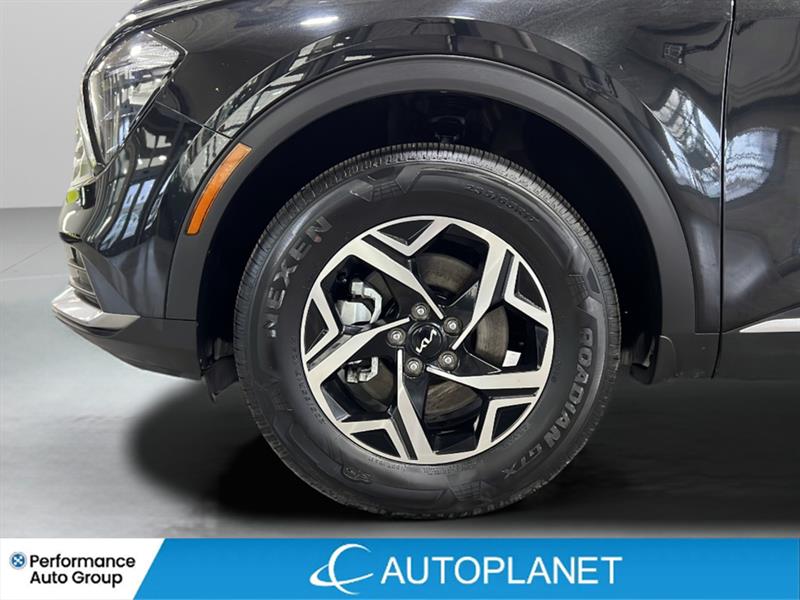 kia Sportage 2024 - 26