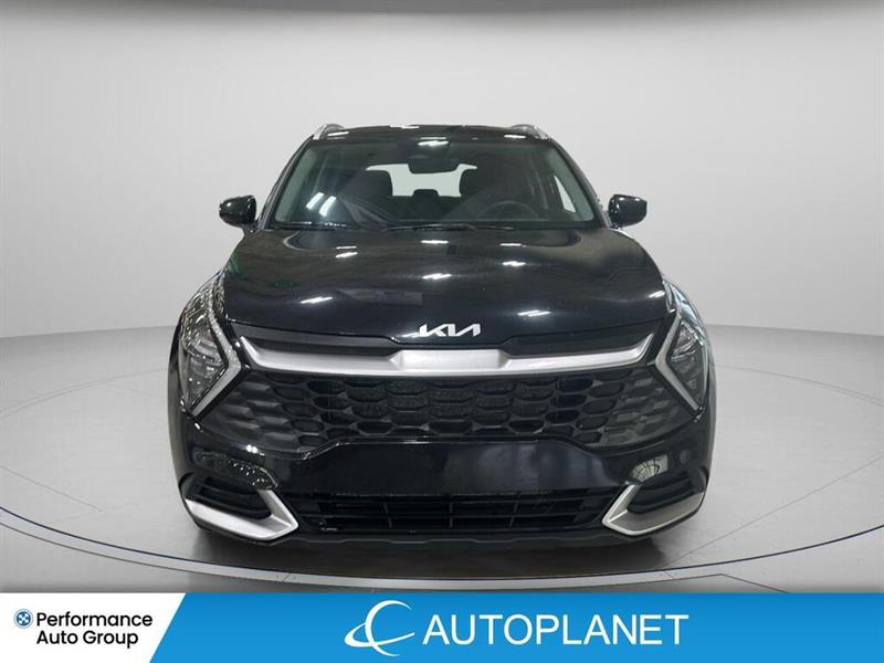 kia Sportage 2023 - 2