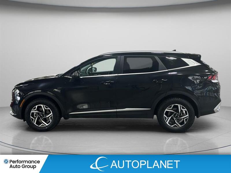 kia Sportage 2023 - 8