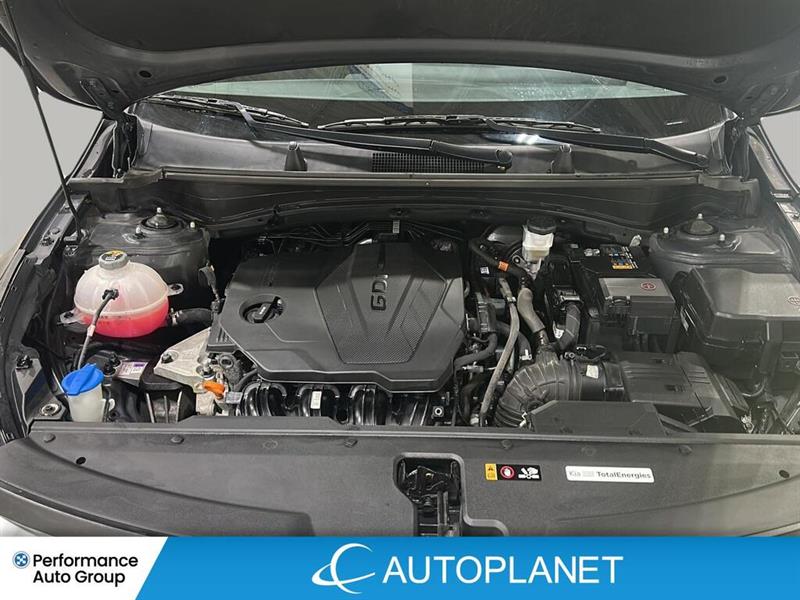 kia Sportage 2023 - 23