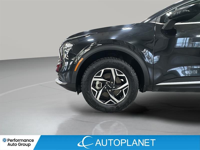 kia Sportage 2023 - 25