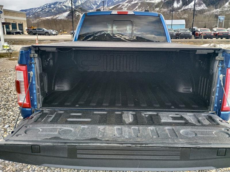 ford F-150 2023 - 19