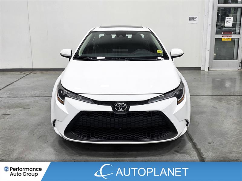 toyota Corolla 2022 - 2