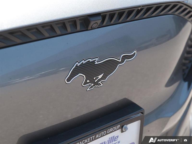 ford Mustang Mach-E 2021 - 9