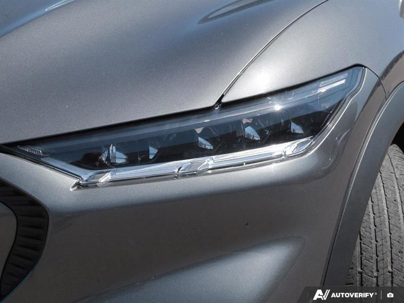 ford Mustang Mach-E 2021 - 10