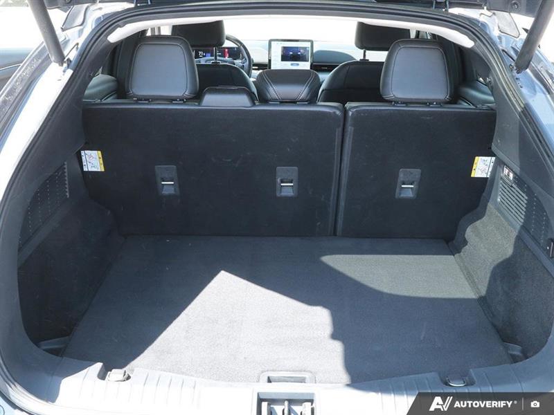 ford Mustang Mach-E 2021 - 11