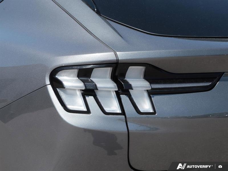 ford Mustang Mach-E 2021 - 12