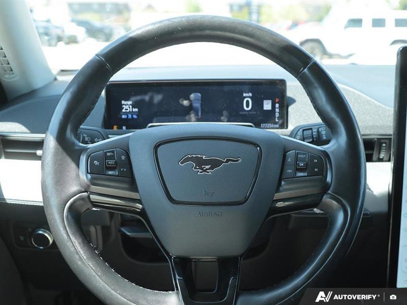 ford Mustang Mach-E 2021 - 14