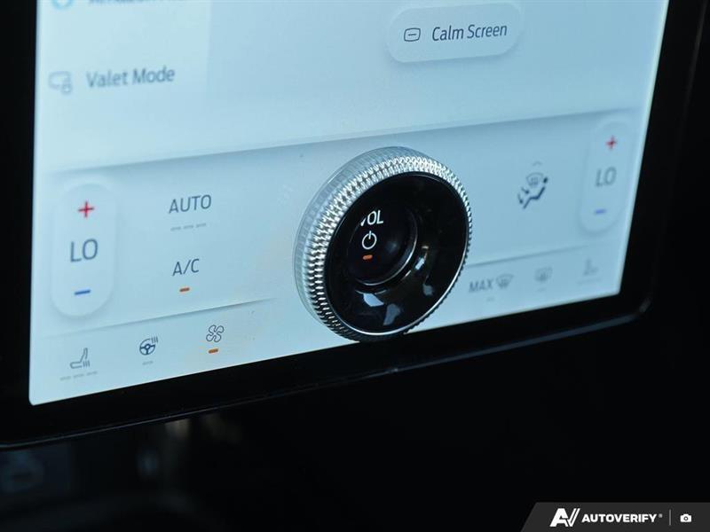 ford Mustang Mach-E 2021 - 19