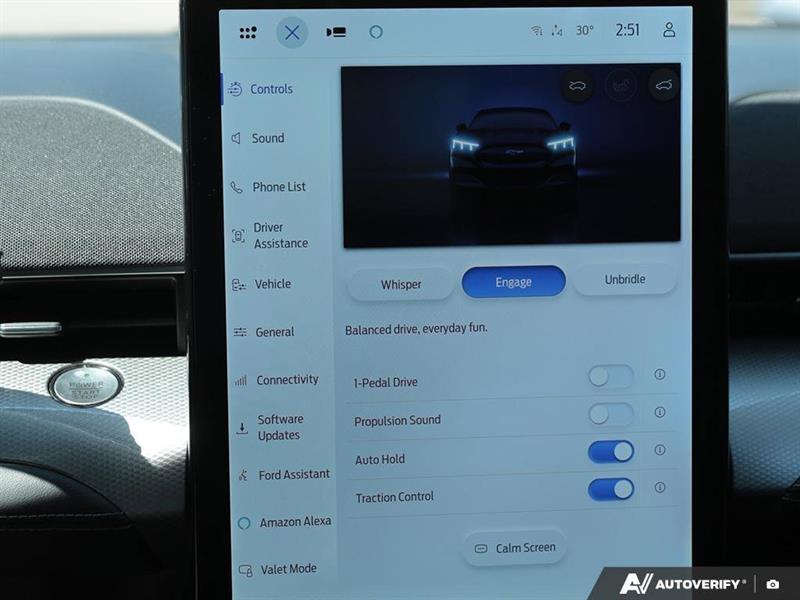 ford Mustang Mach-E 2021 - 21