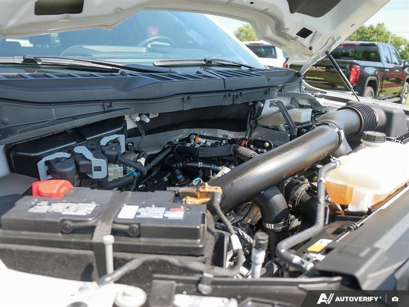 ford F-150 2024 - 11