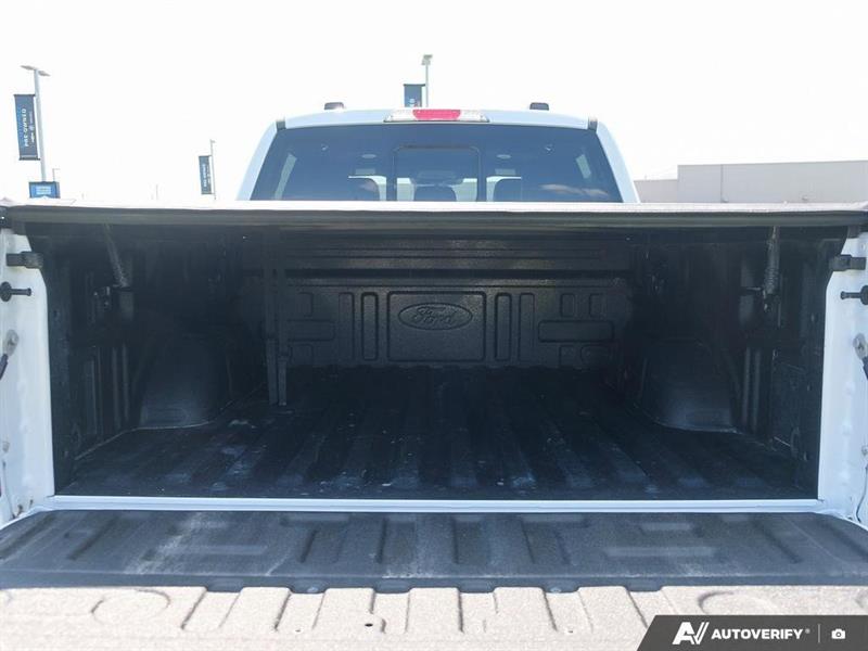 ford F-150 2024 - 14
