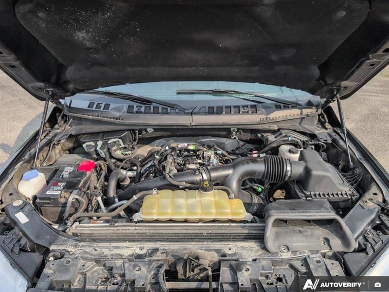 ford F-150 2019 - 13