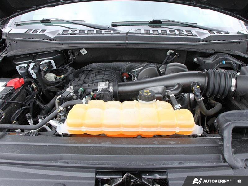 ford F-150 2020 - 12